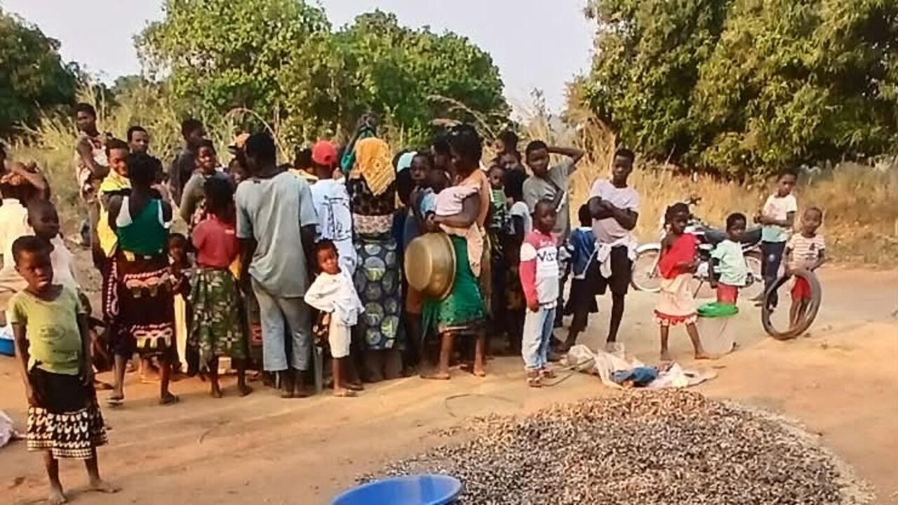 Comunidade reunida junto a feijão boer branco espalhado no chão para secagem, em Milange, Zambézia